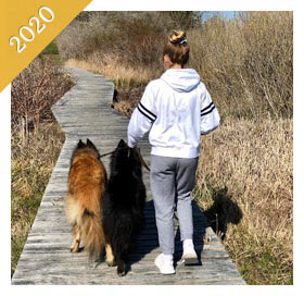 Same preteen is now a teenager walking same dog on boardwalk from 2020