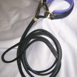 Padded French Martingale Leash - Image 3