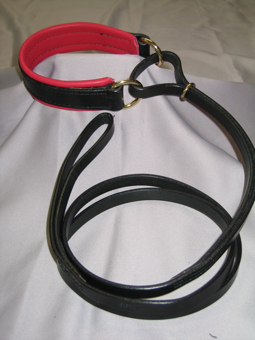 martingale leash collar