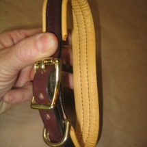 Padded Buckle Collar